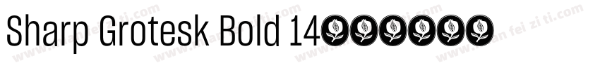 Sharp Grotesk Bold 14字体转换